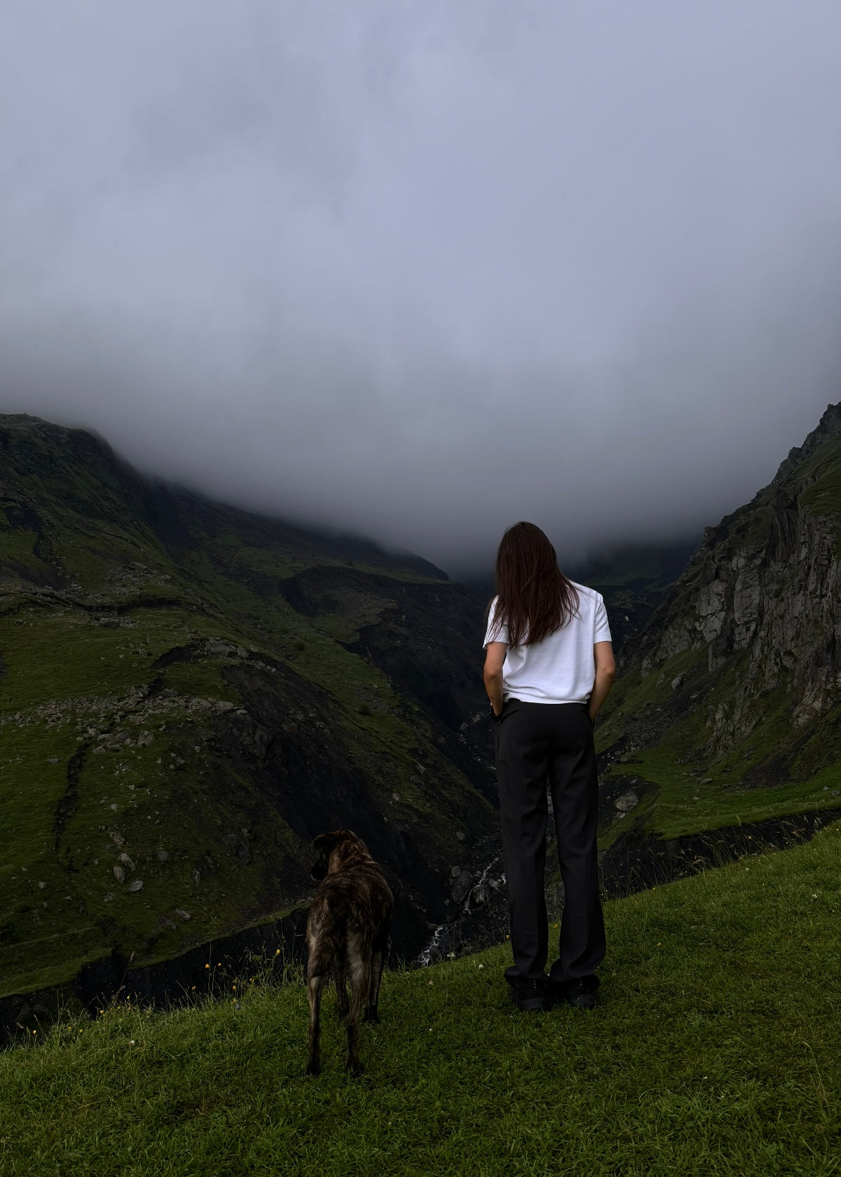 klasikinės kelnės, pilkos spalvos, patogios, iš nugaros
